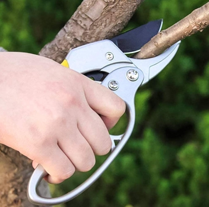 Heavy Duty Stainless Steel Garden Scissor